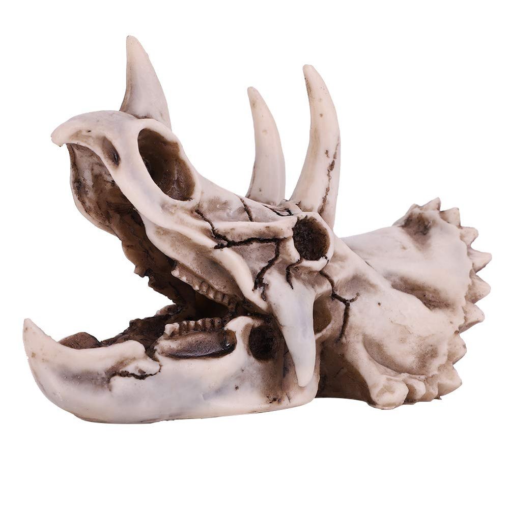 Dioche Dinosaur Skeleton Model, 6.69 * 3.54 * 4.92in Dinosaur Bones Dinosaur with Exquisite Design for Education & Decoration