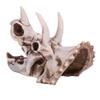 Dioche Dinosaur Skeleton Model, 6.69 * 3.54 * 4.92in Dinosaur Bones Dinosaur with Exquisite Design for Education & Decoration view 3
