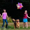 Light Jump Ball, Jumping Activation Ball Children Music Dancing Ball Flashing Bouncing Ball LED Jump Ball for Kid Toy, Flashing Bouncing Ball view 4