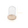 Unomor 10sets Mini Glass Cloche Dome with Base Clear Display Case for Preserved Flowers Plants and Decorative Home Decor for Aesthetic Displays and Dollhouse Accents view 4