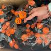 10pcs Funny Bouncing Jumping Pumpkins Spring Birthday Party Decor For Kids Toy Finger Halloween Toy Decoration view 4