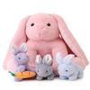 5 Pieces Rabbit Stuffed Animals for Girls,1 Mommy Rabbit with 4 Babies,Plush Bunny Stuffed Toy Gifts for Kids Children 3 4 5 6 7 8 9 Years,Soft Stuffed Bunny for Christmas,Birthday,Party Decorations view 1