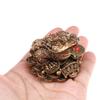 Fowspvzn Shui Money for Fortune Wealth Chinese Golden for Frog for C view 4