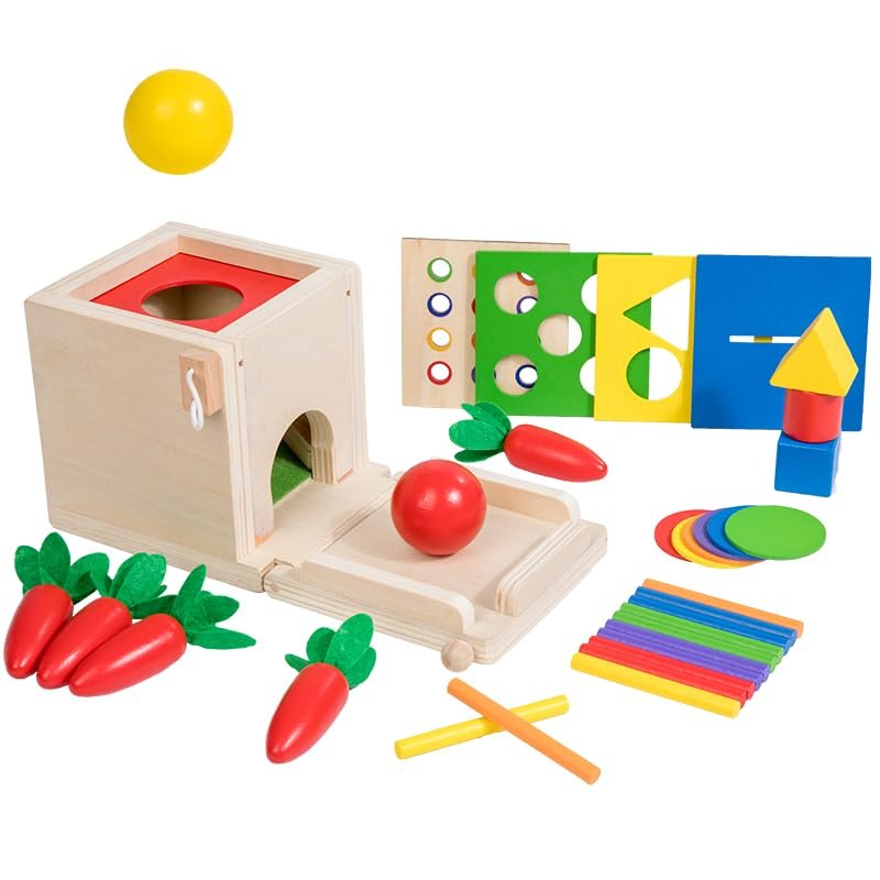 EduLand Montessori Practical Life Skill Pincer Grasp 5-in-1 Toy Object Permanence STEM Educational Toy Posting Coin Piggy Bank Carrot Harvest Push- Matching/Geometric Solid Box Toddler Gift 3-6 Years