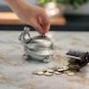 5'' Turtle Piggy Bank, Large Cute Animal Shaped Money Box, Unbreakable Novelty Money Bank for Adult, Practical Gifts for Birthday, Easter, Christmas, Party Favors (Silver) view 4