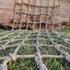 TZLGMDER Children's Climbing net Swing Mountaineering Net Rope Net Physical Training NetHow Many Meters Does It Take to Place an Order for A Few Pieces(10mmX10cm) view 1