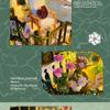 XMBRICDIYY 3D Wooden Double-Decker Darcy Flower House Puzzles, 1:24 Scale Miniature Wooden House Model Kits Creative Wooden Model, Perfect for Decoration view 4