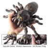 AENIMELY Realistic Soft Spider and Insect Animal Figures, Educational Toys for Kids, Perfect for Birthday, Party Favors, Christmas, and Science Projects view 2