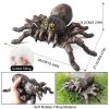 AENIMELY Realistic Soft Spider and Insect Animal Figures, Educational Toys for Kids, Perfect for Birthday, Party Favors, Christmas, and Science Projects view 3
