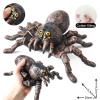 AENIMELY Realistic Soft Spider and Insect Animal Figures, Educational Toys for Kids, Perfect for Birthday, Party Favors, Christmas, and Science Projects view 4