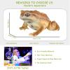 AENIMELY Realistic Solid Frog and Toad Animal Figurines for Kids, Educational Reptile Toys, Ideal for Birthday, Party Favors, and Science ProjectsBrown view 2