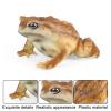 AENIMELY Realistic Solid Frog and Toad Animal Figurines for Kids, Educational Reptile Toys, Ideal for Birthday, Party Favors, and Science ProjectsBrown view 3