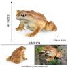 AENIMELY Realistic Solid Frog and Toad Animal Figurines for Kids, Educational Reptile Toys, Ideal for Birthday, Party Favors, and Science ProjectsBrown view 4