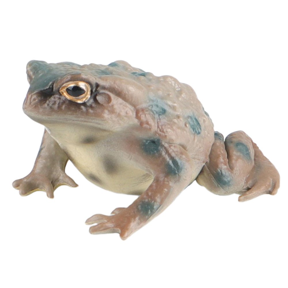 AENIMELY Realistic Solid Frog and Toad Animal Figurines for Kids, Educational Reptile Toys, Ideal for Birthday, Party Favors, and Science ProjectsGrey