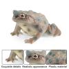 AENIMELY Realistic Solid Frog and Toad Animal Figurines for Kids, Educational Reptile Toys, Ideal for Birthday, Party Favors, and Science ProjectsGrey view 2