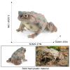 AENIMELY Realistic Solid Frog and Toad Animal Figurines for Kids, Educational Reptile Toys, Ideal for Birthday, Party Favors, and Science ProjectsGrey view 3