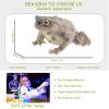 AENIMELY Realistic Solid Frog and Toad Animal Figurines for Kids, Educational Reptile Toys, Ideal for Birthday, Party Favors, and Science ProjectsGrey view 4