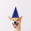 Wiywef Christmas Dwarf Hats 7pcs Christmas Hats Gnome Hats Felt Cone Party Hat Colorful Christmas Elf Hat for Halloween Cosplay Party view 4