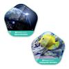 Storypod | Stars & Seas Exploration Bundle | Audio Content for The Storypod Screen Free Audio Learning System for Preschoolers | SEL Audio Learning & Interactive Fun view 1