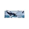 0-6 Months Children's Bow Headband, Whales at sea Elastic Bow Hair Accessories, Hair Accessories for Newborns, Babies, Toddlers view 1