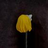 1/6 Scale Female Head Sculpt,Beauty Anime Girl Cat Ear Head Carved for 12inch Female PH TBL JO Action Figure Body view 4
