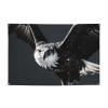 Banner Party Decor Happy Birthday Banner Backdrop Personalized Banner Sign Party Banner with Brass Grommets Party Background Black and white eagle Banner for Outdoor Indoor Christmas Decorations view 1