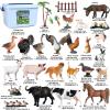 AENIMELY 37pcs Farm Animals Figures Realistic Hen Sheep Rabbit Pig Goat Dog Cat Farm Figurines Playset Party Favors with Storage Box view 2