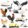 AENIMELY 11pcs Mini Farm Animal Figurines Hen Rooster Goose Duck Realistic Figures Educational Playset Party Favors Cupcake Toppers for Toddlers Kids view 3