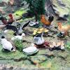 AENIMELY 11pcs Mini Farm Animal Figurines Hen Rooster Goose Duck Realistic Figures Educational Playset Party Favors Cupcake Toppers for Toddlers Kids view 4