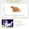 AENIMELY Orange Cat Figurines Short-Haired Fat Cat Figurine, Realistic Cat Figures Kitten Toys, Cat Cake Toppers Christmas Birthday Gift for Kids view 3