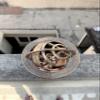 Decorative Armillary Sphere with Engraved Markings, Brass and Wood Base view 3