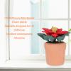 Dollhouse Miniature Plant, 1:12 Scale Dollhouse Miniature Bonsai Home Decor Accessories Resin Clay Dollhouse Green Bonsai view 4