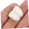 HOOTNEE Realistic Fake Rabbit Teeth Props for Halloween Party Cosplay and Decor Replacement for Prank view 3