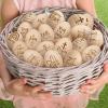 Colingmill 17 Pcs Easter Eggs 2.4" Tall Wooden Laser Engraved Fake Eggs for Craft Easter Hunt Basket Stuffers Fillers Party Supplies(Wood Color) view 4