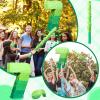 WinnerWhy Number Piata Decorations 16 Inch Gradient Green Piata with Blindfold Stick and Confetti for Birthday Baby Shower Safari Jungle Themed Party Supplies Centerpiece(Number 7) view 4
