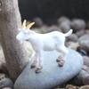 IMIKEYA 6Pcs Miniature Goat Figurines Realistic Plastic Mini Goats Animal Farm Animal Figurine for Micro Landscape, Fairy Garden, Potted Plant Accessories, Cake Topper view 2