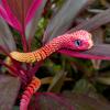 TiTiC 3D Printed Snake, Articulated Flexible 3D Printed Animals Fidget Toy, Realistic Slithering Design,Fidget Toys Gifts for Halloween view 3
