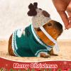 Clysee 10 Pcs Guinea Pig Clothes, 5 Guinea Pig Costume Outfit, 5 Mini Hat with Adjustable Strap Small Animal Warm Vest Sweater Cozy Hand Knitted Hat for Hamster Bunny(Classic) view 4
