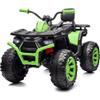Hikiddo Kids ATV 4 Wheeler, 24V 4WD Electric ATV Ride On Toy for Big Kid with 2-Seater, 4x200W Motor - Green view 1