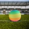 Jumping Ball Inflatable Bouncy Ball Exercise Ball for Children Kindergarten Jump Game 18in/50cm Diameter Sports Hopping Ball, Round Ball view 4