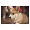 1000 PCS Jigsaw Puzzles Cute Corgi Wooden Puzzle Personalized Picture Puzzle Family Decoration Puzzles for Adults Challenging Puzzle Family Wedding Graduation Present view 3
