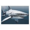 1000 PCS Jigsaw Puzzles 3D Shark Fish Wooden Puzzle Personalized Picture Puzzle Family Decoration Puzzles for Adults Challenging Puzzle Family Wedding Graduation Present view 3