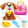 JOYIN Toy Dog for Toddlers, Play Puppy Toy with Carrier & Accessories, Plush Dog with Interactive Button, Lights & Sounds, Pet Care Set for Kids 1 2 3 4 Years Old, Birthday Gifts for Girls view 1