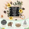 11 Pcs Pregnancy Announcement Set, Baby Reveal Ideas Include Felt Letter Board Sonogram Picture Frame Baby Bodysuit Bear Booties for Pregnancy Announcement Photo Props Coming Soon Baby Announcement view 3