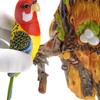 Dusky Shark Chirping & Dancing Bird with Motion Sensor  Interactive Bird Toy view 1