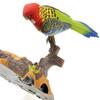 Dusky Shark Chirping & Dancing Bird with Motion Sensor  Interactive Bird Toy view 3