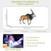 AENIMELY Spiral-Horned Antelope Figure Forest Jungle Wildlife Animals Realistic Figurine Educational Toy Cake Toppers Christmas Birthday Gift for Kids view 4