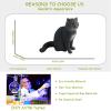 AENIMELY Black Cat Figurine Cute Shorthair Cat Toy Kitten Collectible Figure Hand Painted Farm Realistic Cat Animal Model Toys for Kids view 3