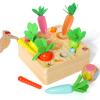 Ancaixin Montessori Toys for 1 Year Old, Magnetic Wooden Toys for 12 Months Boys and Girls, Educational Carrot Toy for Toddlers, Shape Sorting Matching Puzzle for Kids 1 2 3, Birthday Easter Gifts view 1