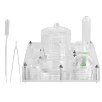 Acrylic Antt Breeding Box, Transparent Watching Feeding Case, Nests Glass Nests Tube Farm Experiment, Antts House Toy for Children
